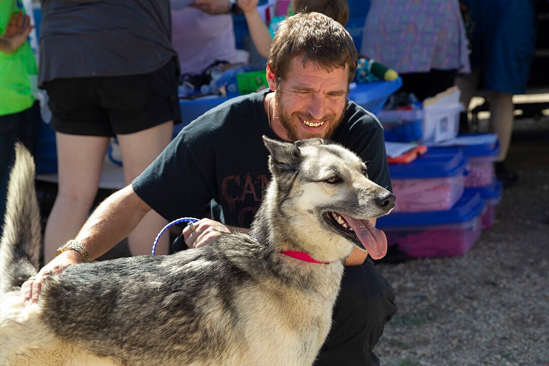 Petfest